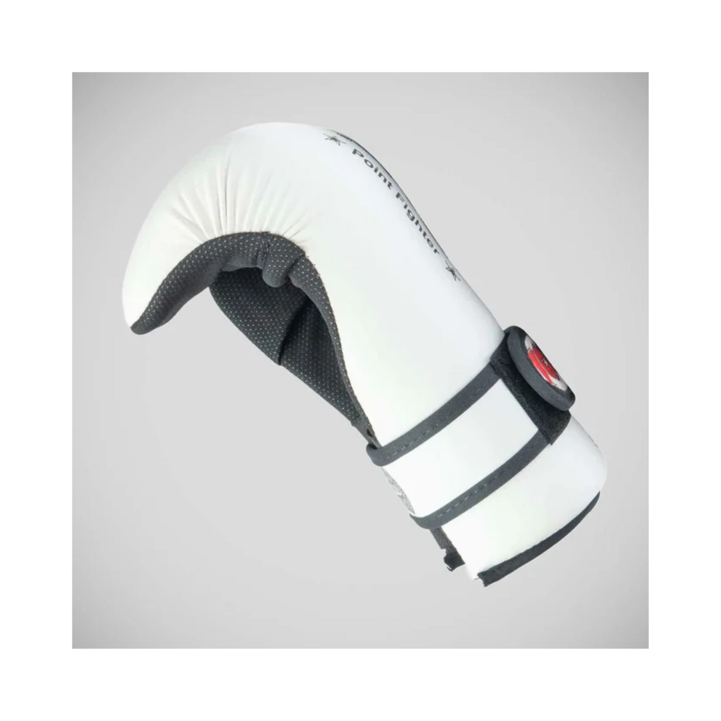 Top Ten Pointfighter Gloves